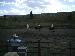 Captured 2005-9-3 00006.jpg